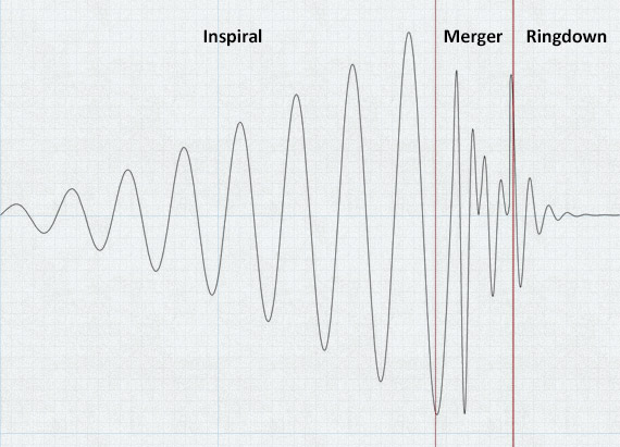 The three phases of a binary black hole's merger, as seen in gravitational waves. The long inspiral begins very far in the past, growing more pronounced as it approaches merger. During merger, there is a rich variety of effects which will give us greater insight into General Relativity, and the objects we observe using gravitational waves. The ringdown is a very quick reduction in the size of the waves as the system settles down — it sounds much like a drum being hit once.
